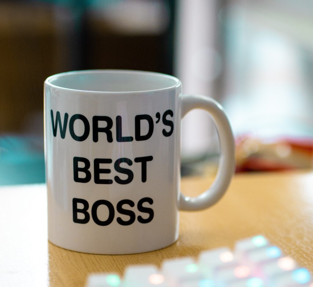 Best Boss Business Website Developer